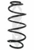 SPIDAN 86685 Coil Spring